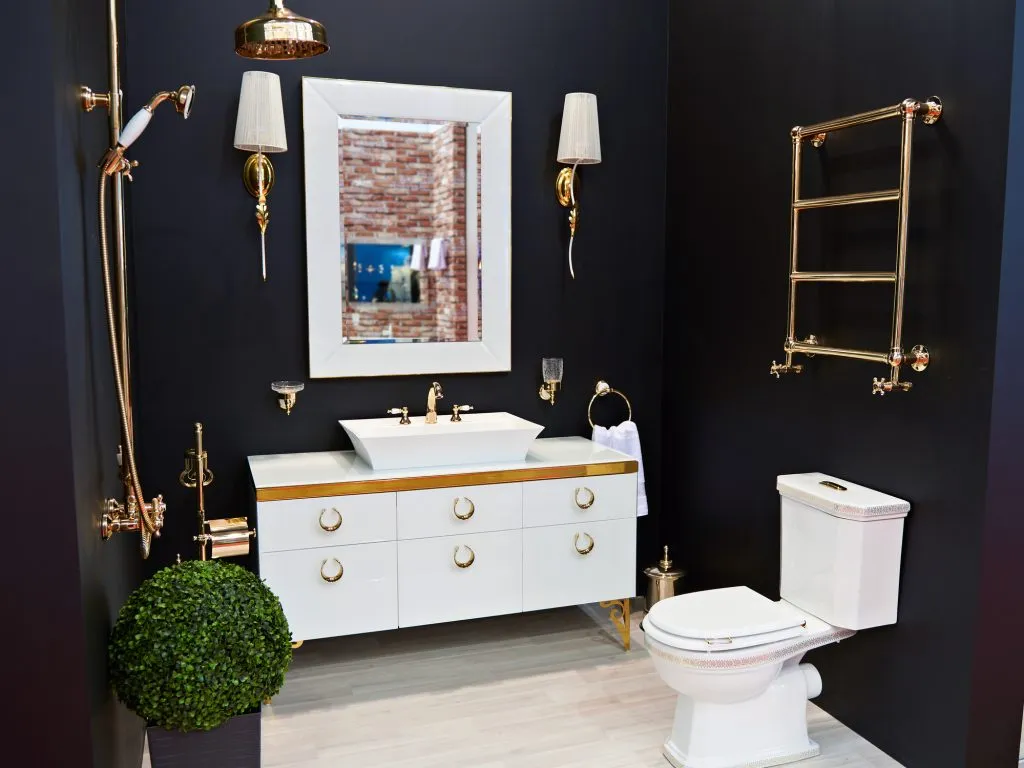 Luxurious washbasin toilet shower and mirror in the bathroom